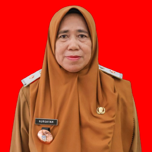 Asisten Pemerintahan dan Kesejahteraan Rakyat - Dra. Nurgayah, M.A.